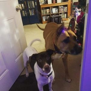 Meet your Posher, Jay